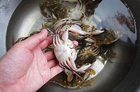 ����С�зVS����С��Ϻ������ͼƬ����1