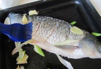 �����������������ͼƬ����2