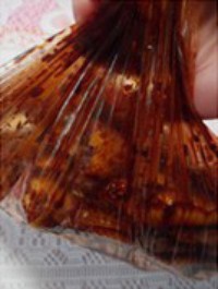 ��������צ������ͼƬ����13