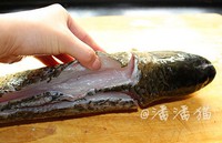 ����Ѭ�������ͼƬ����4