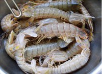 ����ƤƤϺ������ͼƬ����1