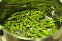 ������������ë������Ѽ�������ͼƬ����1