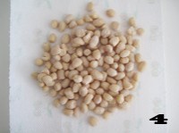 ��������������ͼƬ����4