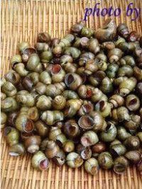 �������ݵ�����ͼƬ����1