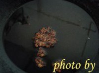 �������ݵ�����ͼƬ����2