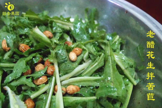 �ϴ׻�������ĵ�����