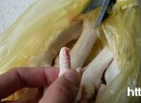 ��Ƥ��צ������ͼƬ����1