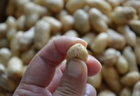 ����±����������ͼƬ����3