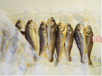 ����С���������ͼƬ����1