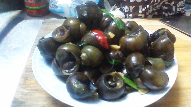 ��������ݵ�����,��ô��,���������������ó���ϸ����ͼ�������