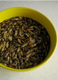 ���ֻ��������ͼƬ����1