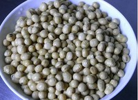 ���ƶ�������ͼƬ����1