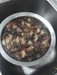 ����С��Ϻ(��ζϺ-�����輴���������ޱ���ζ)������ͼƬ����2