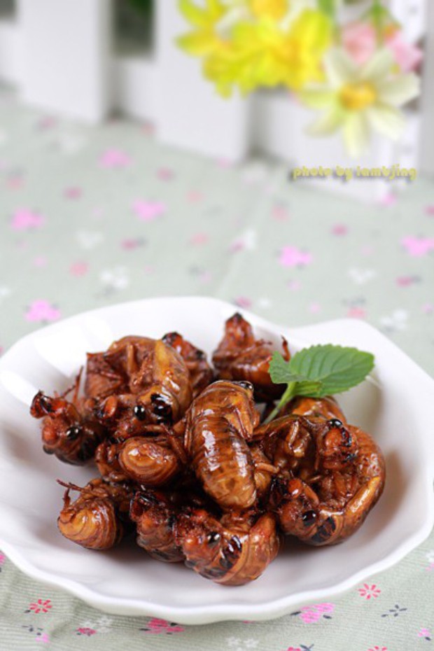 �������������,��ô��,�������������ó���ϸ����ͼ�������