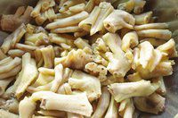 ��Ѽצ����Ѽ�ƣ�������ͼƬ����5