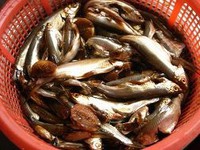 �Ͼ���С�������ͼƬ����2