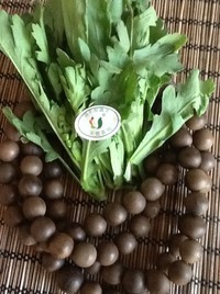 ���Եȴ�֮��Ұ���٣���˶��ɵ�����ͼƬ����2