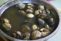 ��ʽѪ�������ͼƬ����1