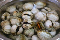 ��ʽѪ�������ͼƬ����3