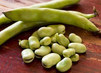 ���ȳ��϶�������ͼƬ����1