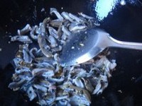 ��˿�Ӱ���������ͼƬ����6