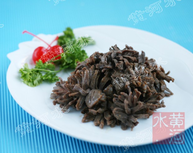 �ҳ��¾Ʋ�ը��֦�ӵ�����,��ô��,ը��֦��������ó���ϸ����ͼ�������