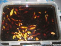 �´��ݽ�����Ѽ�Ƶ�����ͼƬ����8