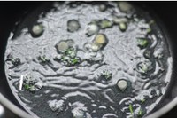 ����ܿ��������ͼƬ����7