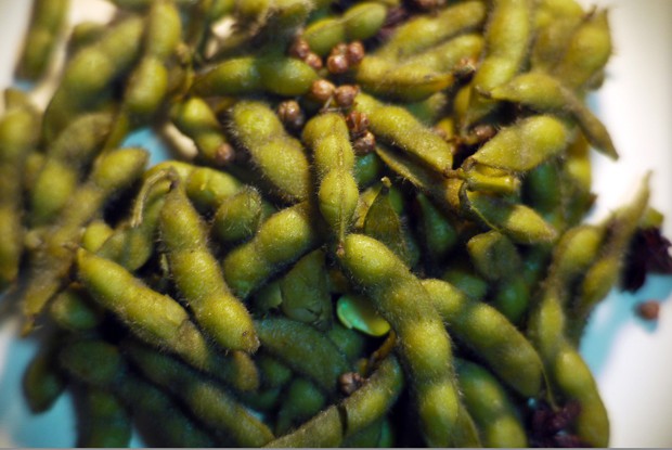 �緹����ë��/����������