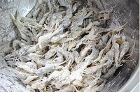 ����С��Ϻ������ͼƬ����3