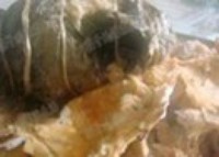 �ں����л���������ͼƬ����9