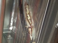 �ο��ﵶ������ͼƬ����4