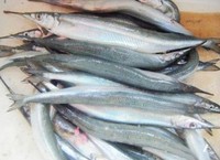 ��ը�����&���������е�����ͼƬ����1