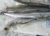 ��ը�����&���������е�����ͼƬ����3