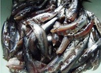 ��ը�����&���������е�����ͼƬ����1