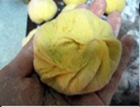 �Ϲ���ͷ������ͼƬ����10