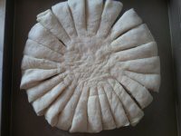 �������-̫����������ͼƬ����7