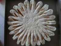 �������-̫����������ͼƬ����8