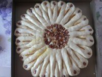 �������-̫����������ͼƬ����10