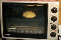 Ƥ����������ͼƬ����6