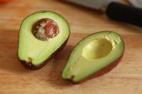 ţ�͹������㼦���ѵ�����ͼƬ����1