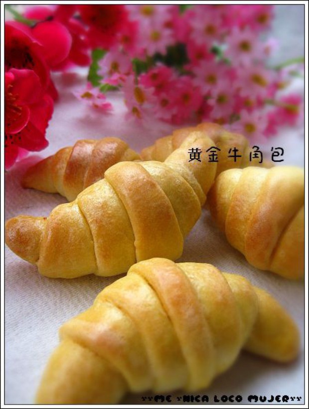 �ƽ�ţ�ǰ�������,��ô��,�ƽ�ţ�ǰ�������ó���ϸ����ͼ�������