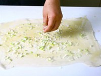 ������˺��������ͼƬ����9