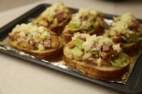 ����֥ʿ���������ͼƬ����4