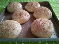 �Լ���������һ������������&mdash;&mdash;17Сʱ���ֵĺ÷��ӵ�����ͼƬ����8