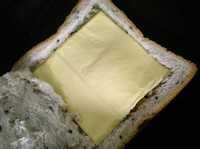 ������˾������ͼƬ����4