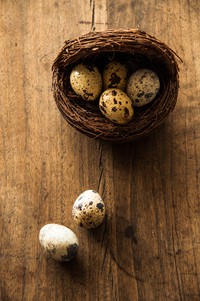 ţ�͹�̫����������ͼƬ����2