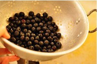 ��ݮ�����ɱ�������ͼƬ����1