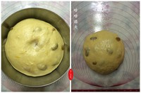 �������Kouglof��������ͼƬ����4