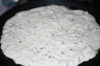 ����Ӫ���������֮����֥ʿ��������ͼƬ����5